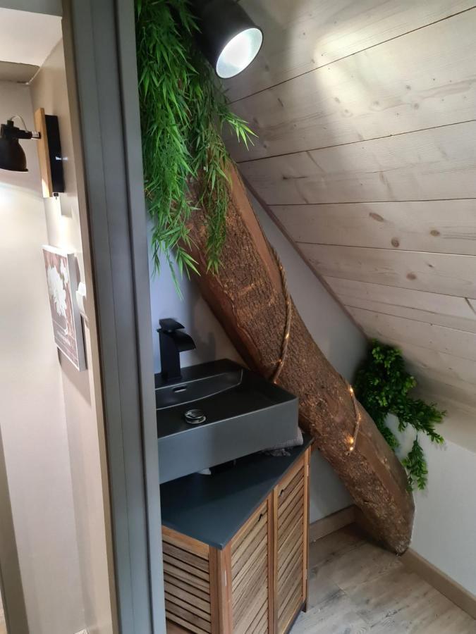 Gite Le Gabizos Avec Bain Nordique Et Sauna En Pleine Montagne Apartment Arrens-Marsous Luaran gambar